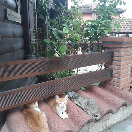 Летний дом Traditional *