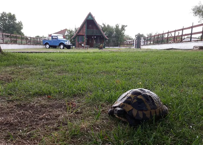 Traditional Séjour à la campagne *
