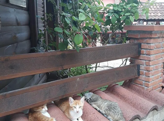 Séjour à la campagne Traditional *